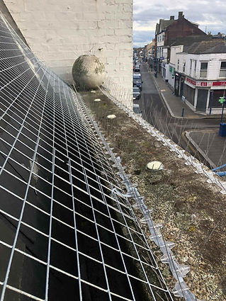 Bird proofing installation
