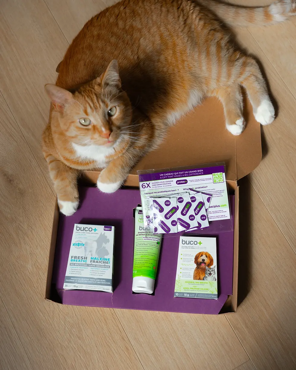 Miniature : Baci + Trousse Buccodentaire moins de 15 kg