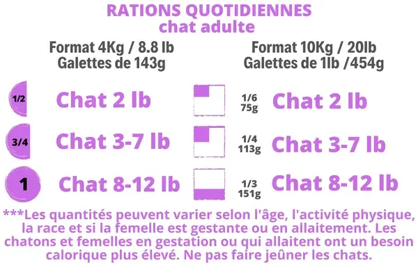 Miniature : Pur évolution -Félin canard