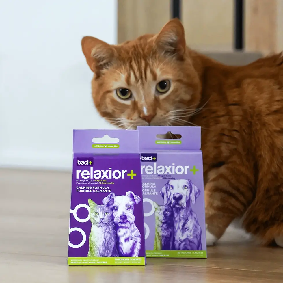 Miniature : Baci + Relaxior + Formule calmante chiens \ chats