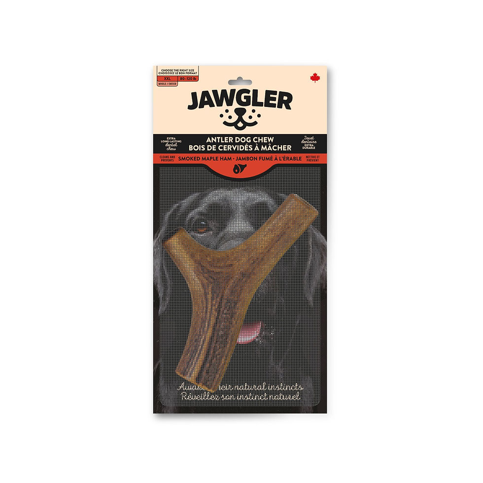Miniature : Jawgler- Bois De Cervidés à Mâcher, Entier - Jambon Fumé à l'érable