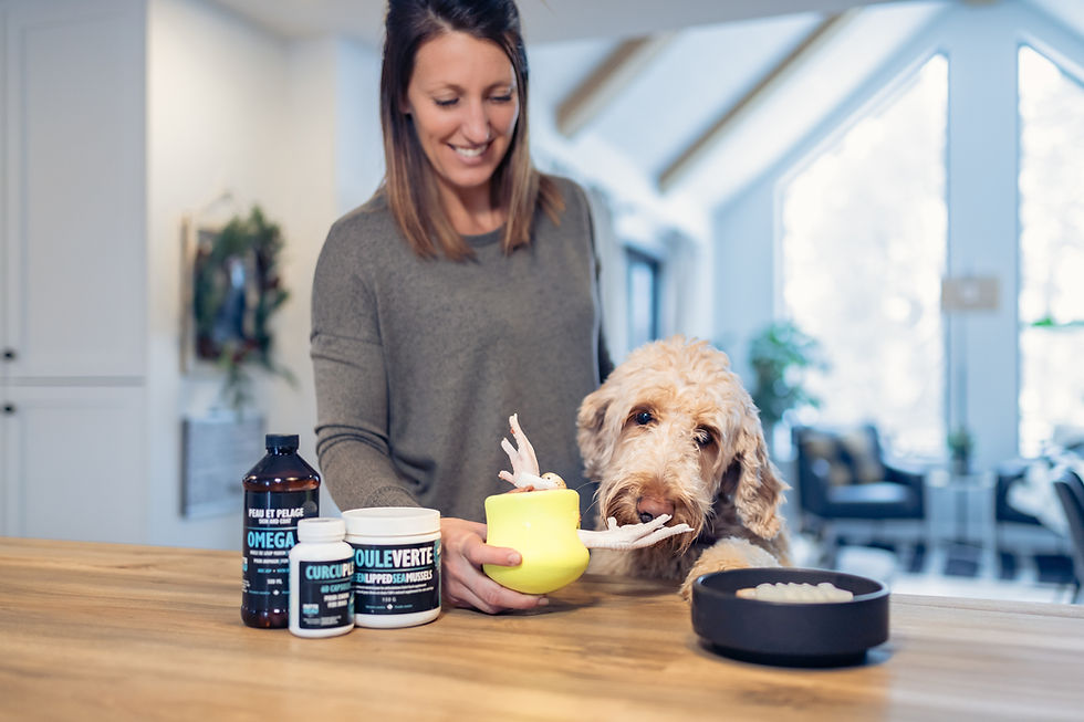 Probiotiques pour chien et chats quand en prendre par Osé cru