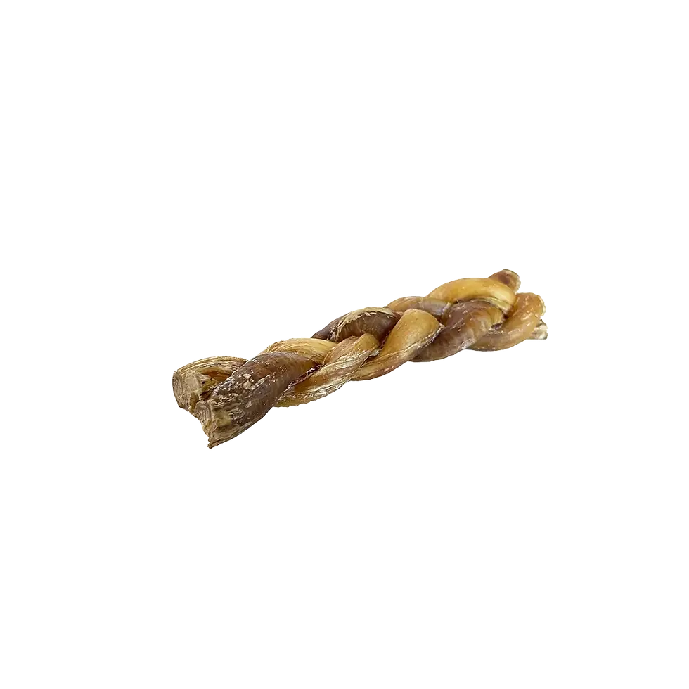 Open Range -Bully stick buffle d'eau tressé