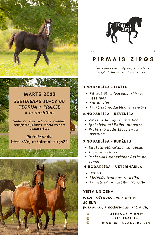Pirmais zirgs 2022 marts piedavajums.png