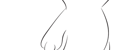 Line drawing of a kangaroo joey.