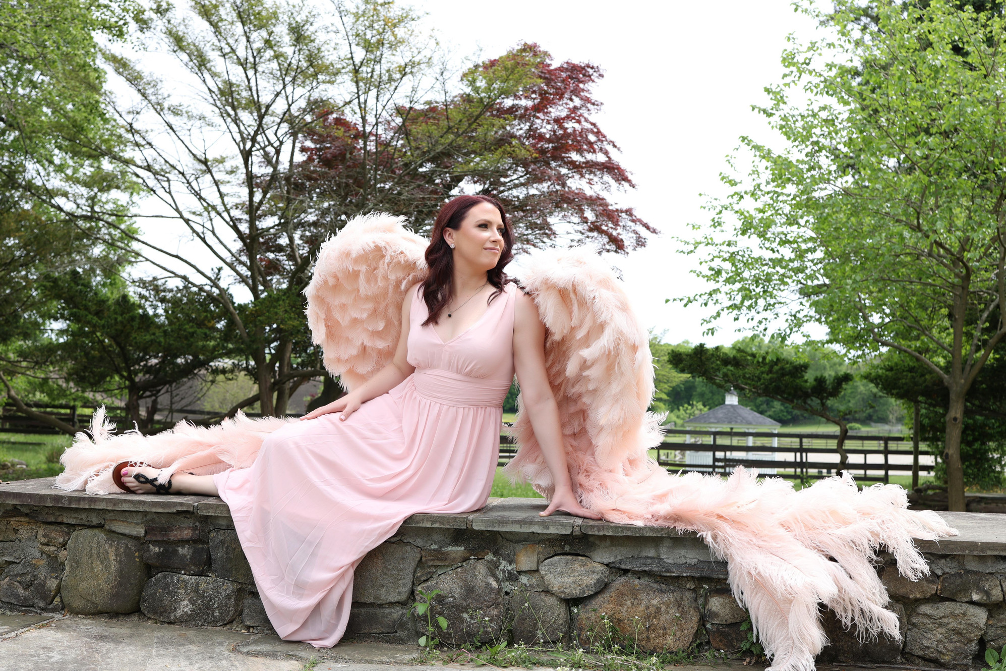 Autoimmunerevolution