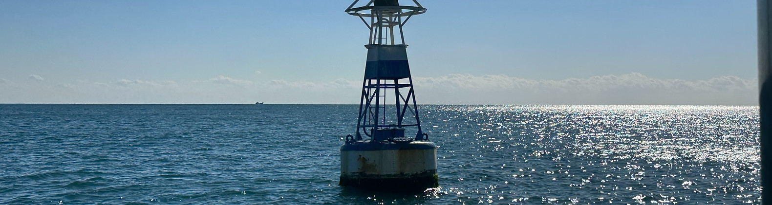 IMG_7303_edited.jpg