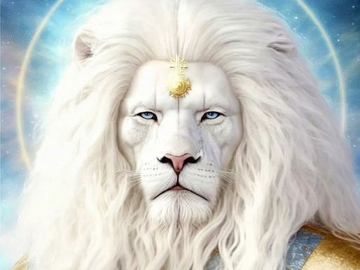 Você é o Criador da sua Realidade - Felino Shankar