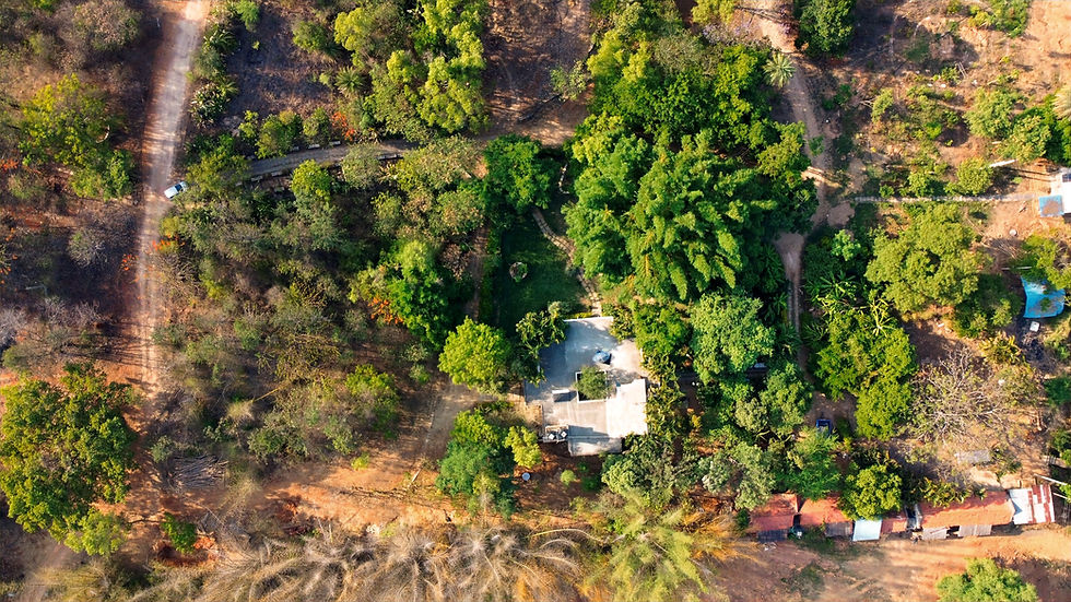 DJI_0010_edited.jpg