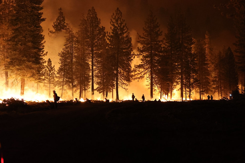 CalFire Dixie Fire 2021 51383844849_6920183025_k.jpeg