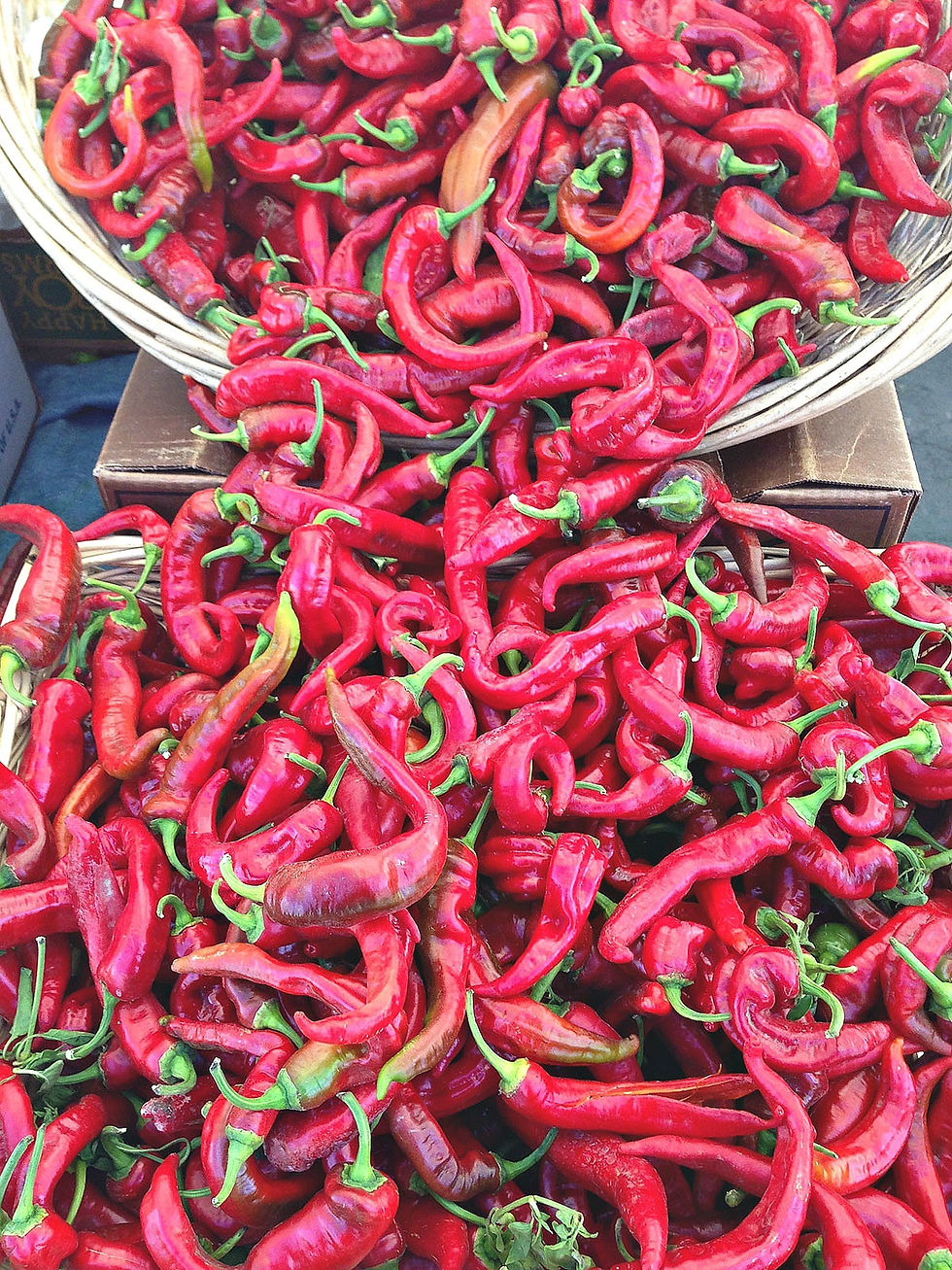 Baskets full of organic Jimmy Nardello peppers at a farmers market