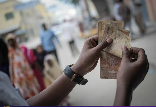 fintech migrant tax remittance