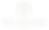 Balancewise Primary 1 - Cream_1.1x.png