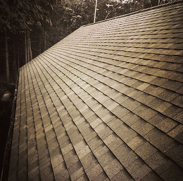 Fiberglass Shingle will last the longest with the best warranty. Ridge Venting,