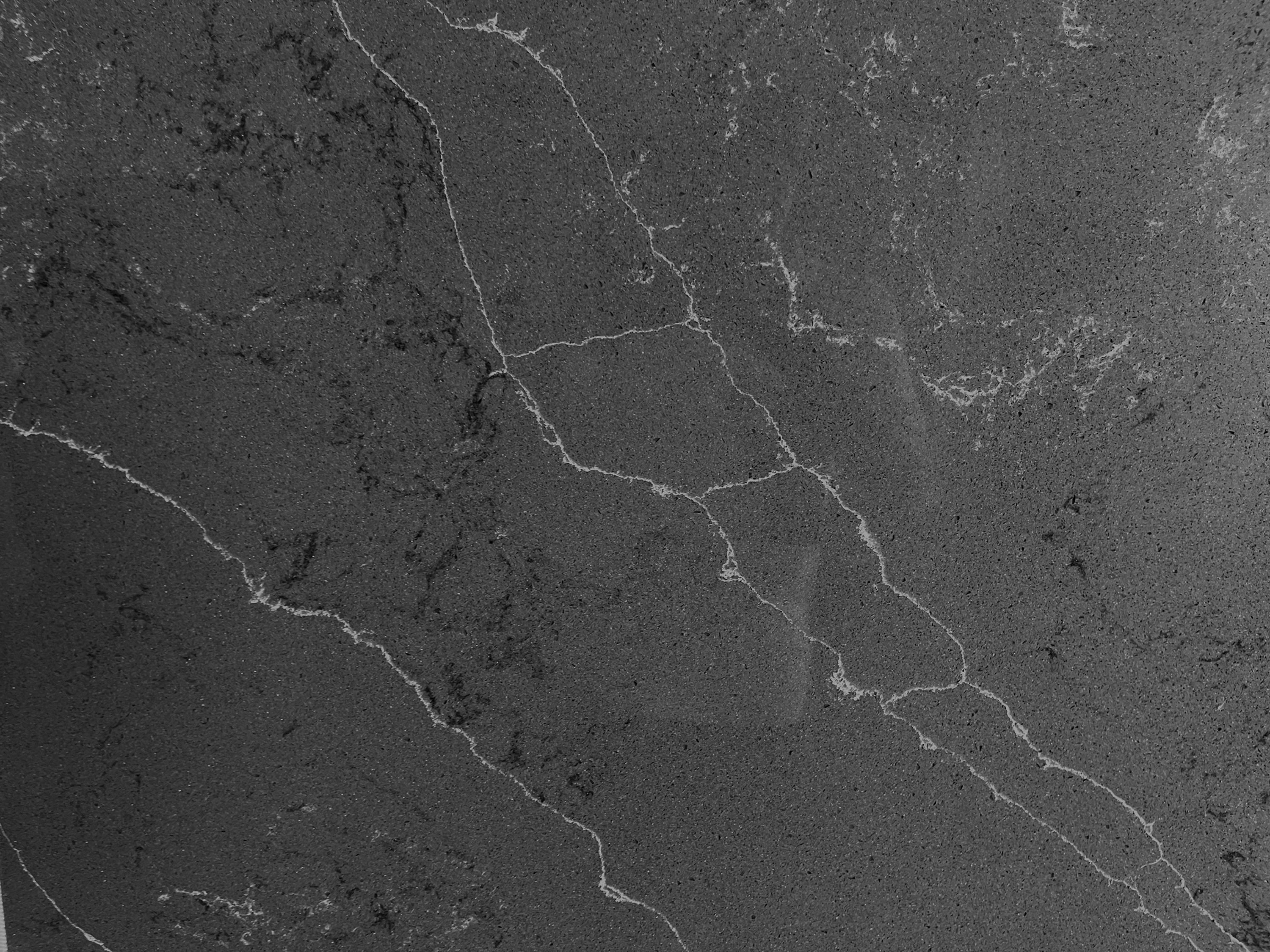 8883 Calcatta Blackburn