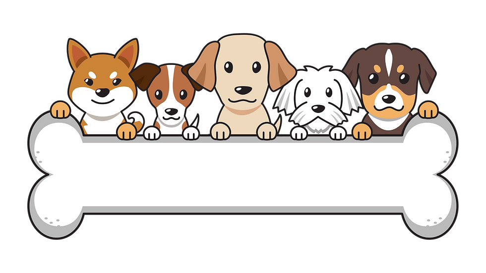 Woofy fit Toronto's #1 Mobile Dog Gym and Training Services.