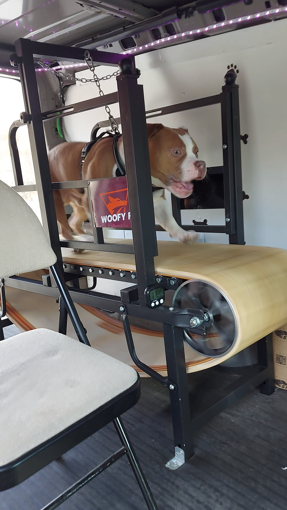 Woofy Fit Toronto's #1 Mobile Dog Gym Service BLog