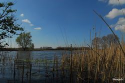 Moerbeke