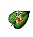 York-Masala logo
