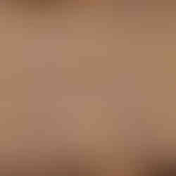 Uncooked kolaches Arranged on parchment