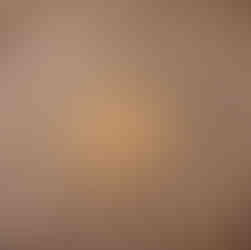 Cover and let rise for 1 hour at room temp.