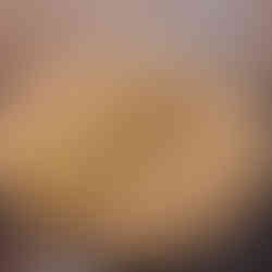 Place the cabbage rolls in your 12" enamel cast iron skillet, seam-side down. Pour in the beef broth and 1 tbsp melted butter. Cover and simmer on low for 1 hour, occasionally spooning broth over the rolls. For the last 20 minutes, uncover to allow the broth to reduce.