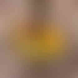 Heat butter in a pan over medium heat and sauté the leeks and onion until very soft (about 10-12 minutes). Let cool slightly. Blend the sautéed leeks, onion, and egg until smooth.