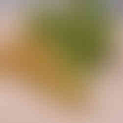 Zucchini and Bell Pepper Pashtida