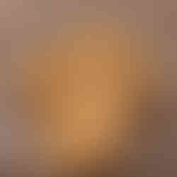 Gradually mix in the dry ingredients until just combined. Fold in the chocolate chips.