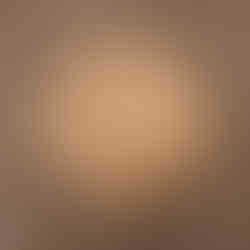 Let rise another hour. Optional second stretch and fold if needed.