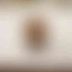 Variation with sesame and silan.