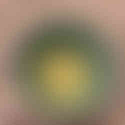 Brush with a mix of melted butter, sugar, and almond extract while still warm.