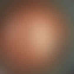 Alternately add the dry ingredients and milk to the wet ingredients, stirring until just combined.