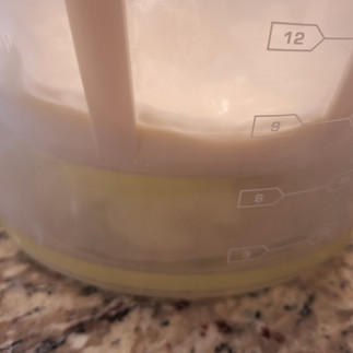 In a bowl, mix yogurt with salt. Transfer to a yogurt strainer or line a mesh colander with cheesecloth, set over a bowl. Let drain in the fridge for 24 hours until thick and moldable.