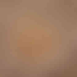 In a large bowl, combine the rye flour, whole wheat flour, vital wheat gluten, and water. Mix until just combined. Add the sourdough starter and mix again until the dough is uniform. Let rest for approximately 45 minutes (autolyse).