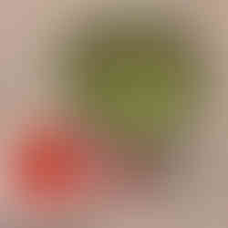 8 cups spring mix 2 cups fresh strawberries, sliced 1 cup pomegranate seeds 1/2 cup walnuts, roughly chopped