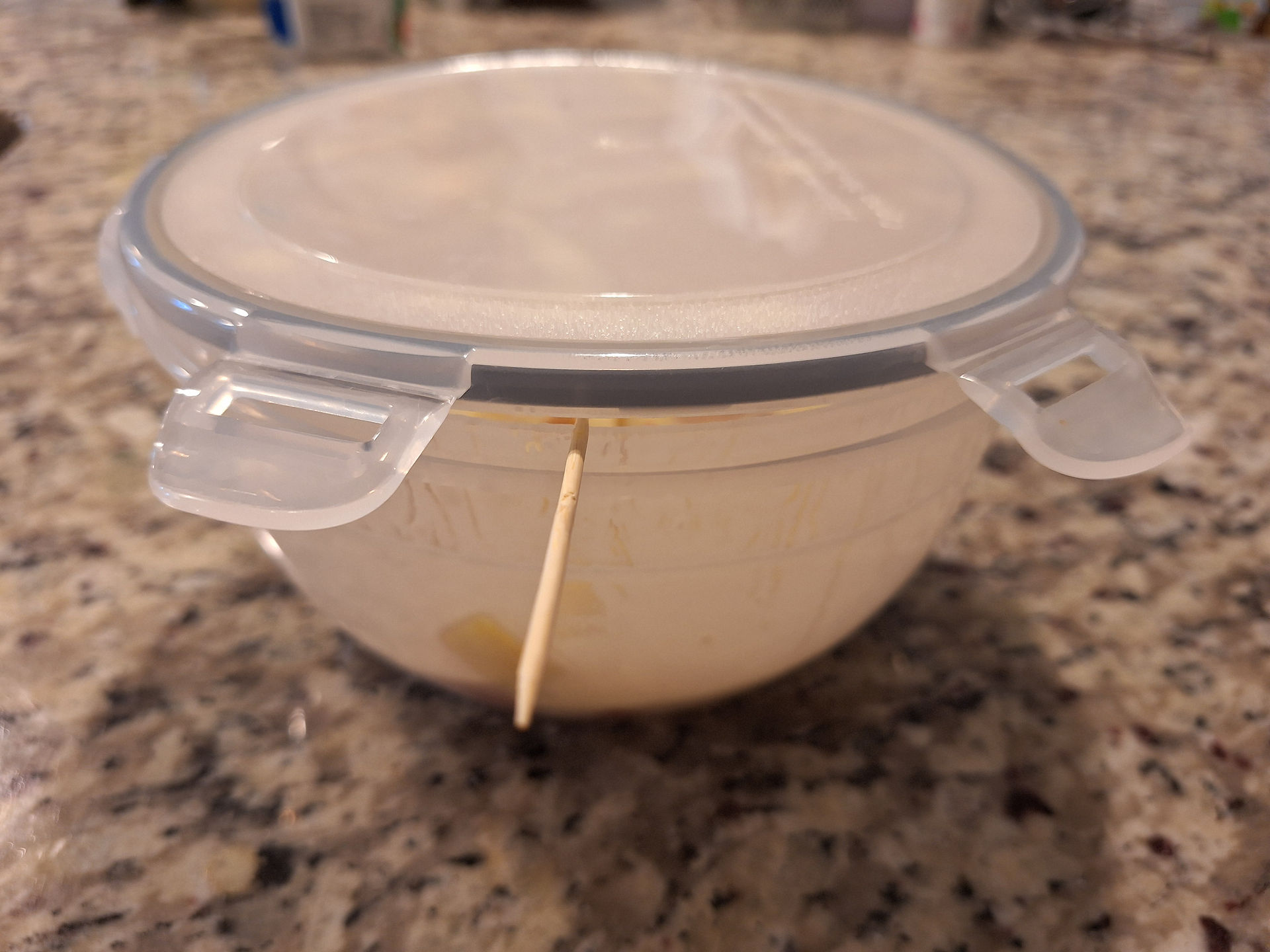 flower apple and water in a bowl, closed with toothpick between bowl and lid for air