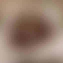 Heat beef tallow (or oil) in a wide skillet over medium to medium-high heat until it reaches 170–180°C (340–355°F). Fry half the patties 3–4 minutes per side until deeply golden and cooked through. Transfer to paper towels to drain.