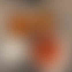 bowls: crushed tomatoes, chopped onion, chopped carrots, chopped peppers