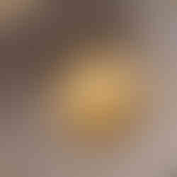 In a large bowl, mix flour, sourdough starter, milk, sugar, softened butter, egg yolk, salt, and vanilla extract. Knead by hand or stand mixer until smooth and elastic, about 8–10 minutes. Cover the bowl and let the dough rise at room temperature for 6–8 hours, or until doubled. For convenience, you can refrigerate overnight after 1 hour at room temp and let it come to room temp before shaping.