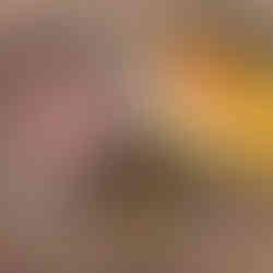 5 chicken drumsticks 2 medium onions, quartered 1 stalk celery (without leaves), diced 4 medium potatoes, peeled and cubed 1 small sweet potato, peeled and cut in half 2 cups pumpkin, peeled and cubed 3 large carrots, peeled and sliced into rounds 1 teaspoon ground turmeric 2 bay leaves A pinch of black pepper Salt, to taste 10 cups water or chicken stock