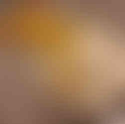 egg and oil mix added to flour