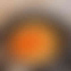 onions and carrots on frying pan, chopped, stirred and cooked with peppers