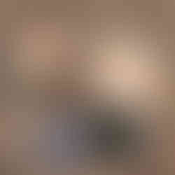 All ingredients on countertop