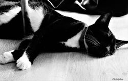 DSC00978