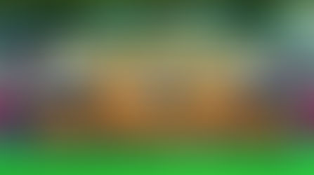 Best hockey shoes in Europe