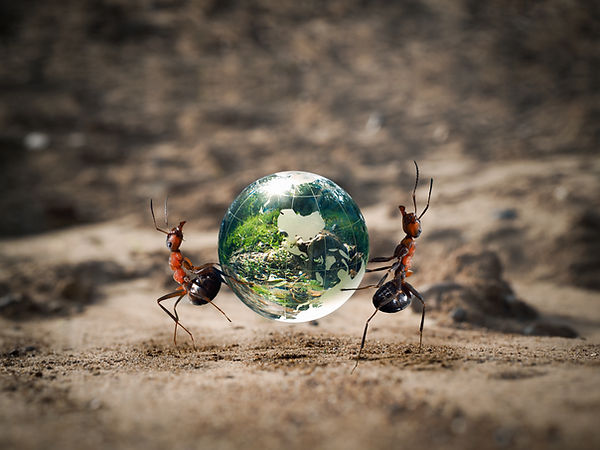 Environmentally Sustainable Product design, Consumer trust, Design facilitates Sustainability, Marketing Power, Strong Visual Images, product design, Industrial design, Future Value Design, newcastle NSW, Australia