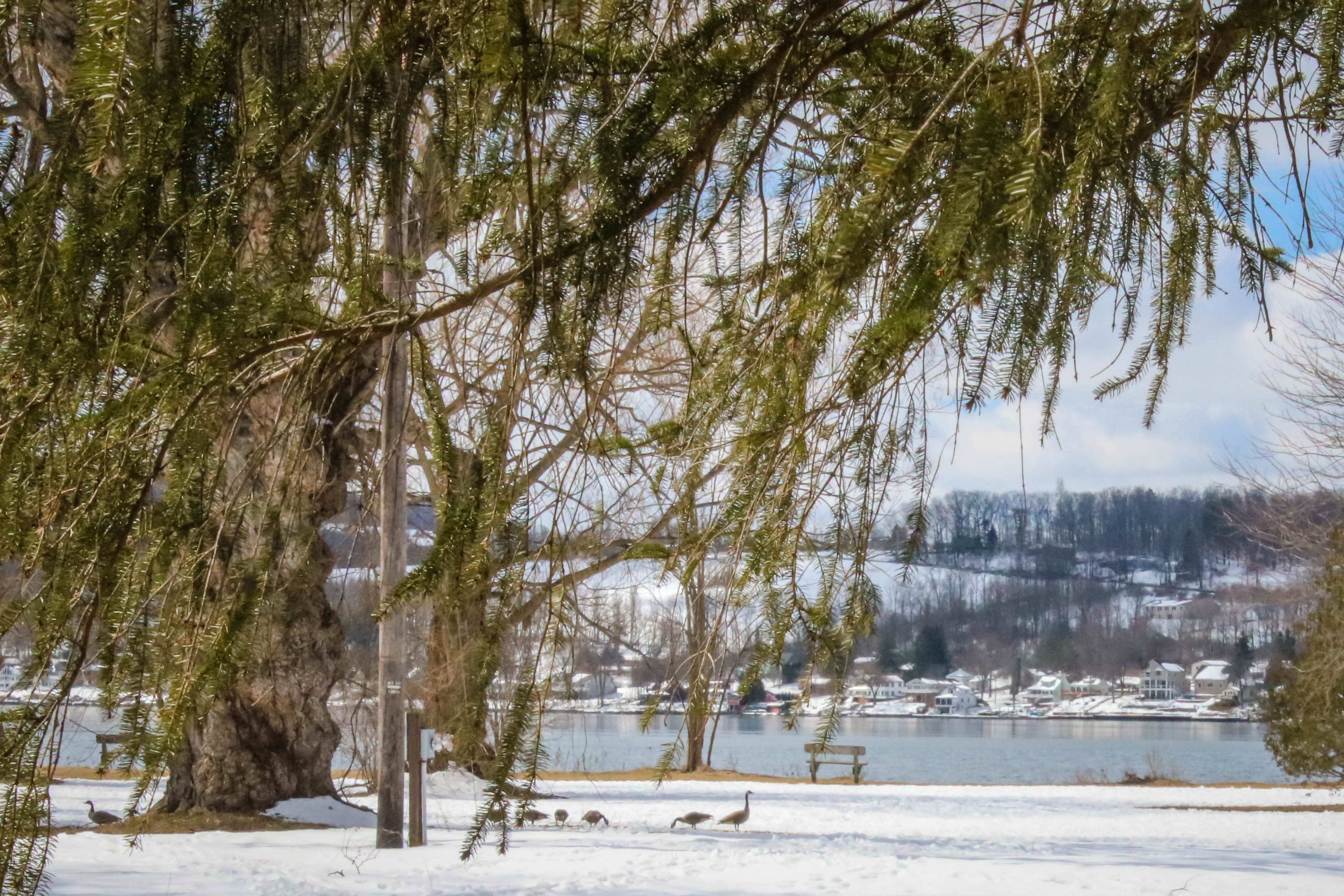 Otisco Lake Park