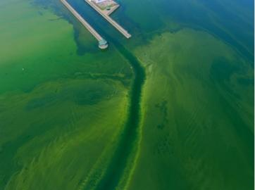 Photo credit: Owasco Lake Watershed Inspectors