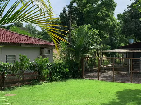 02 Residências no balneário Três Ilhas - Crissiumal/RS